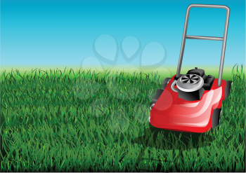 grass and mow. grass cutter cuts the green lawn