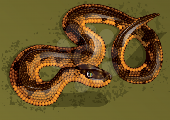 snake on rusty green background. 10 EPS