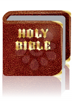 holy bible on a white background with reflection