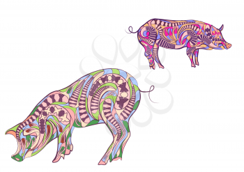 two ethnic pigs isolated on a white background