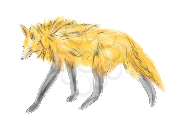 maned wolf isolated on a white background