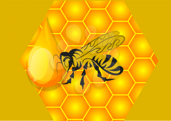honey, abstract bee and honeycomb 