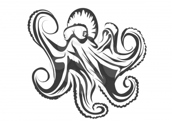 octopus silhouette isolsted on white background