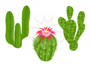 abstract cactuses isolated on white background