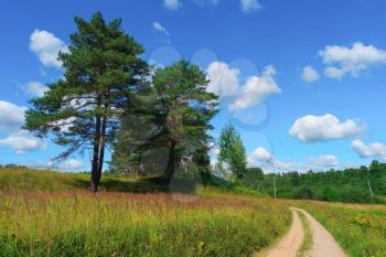 Beautiful summer landscape with sky, clouds, trees, grass and road