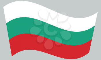 Flag of Bulgaria waving on gray background