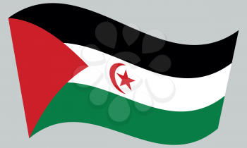 Sahrawi national official flag. Western Sahara patriotic symbol. SADR banner, element, background. Correct colors. Flag of Sahrawi Arab Democratic Republic waving on gray background, vector