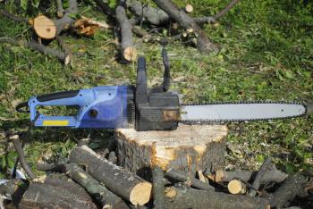 Chainsaw and wood