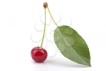 Red cherry with leaf on a white background