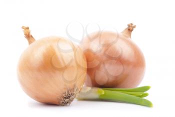 Two onions with greens on a white background.