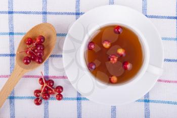 Tea with red viburnum berries