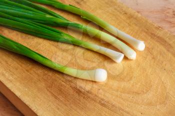Spring Green Onions Group On Wooden Desk