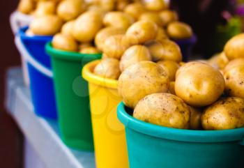 Harvested Potatos In Colorful Buckets.