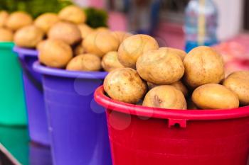 Harvested Potatos In Colorful Buckets.