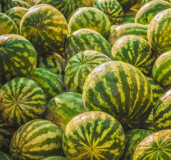 Heap Of Watermelons. Background