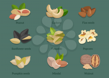 Set natural walnut grain flat design. Pistachio and popcorn, seed flax, cashew and mindal, walnut and almond, sunflower and peanut, pumpkin and food illustration