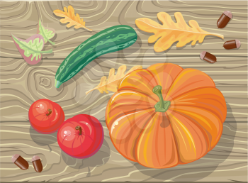 Set of autumn fetuses squash, apples, acorns. Autumn fruits, autumn, fall vegetables, autumn food, autumn harvest, food agriculture, fresh nature, healthy pumpkin, vegetarian harvest illustration