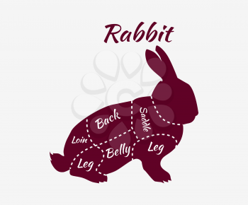 Vintage diagram guide for rabbit cutting. Vintage typographic rabbit butcher cuts diagram. Rabbit cuts diagram for butcher shop. Quarter of raw rabbit. Organic rabbit meat parts. Vector illustration