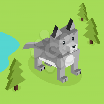 Wild animal wolf isometric 3d design. Wild and animal, wild animals isolated, wolf isometric, zoo wolf wild animal, wolf nature, wildlife flat animal wolf icon, forest wild animal vector illustration
