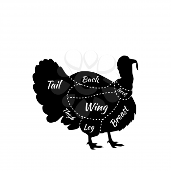 Farm bird silhouette turkey meat cuts. Butcher shop logo. Cartoon turkey holding. Turkey icon. Vector illustration of a turkey. Cute Thanksgiving turkey. Turkey Thanksgiving celebration design