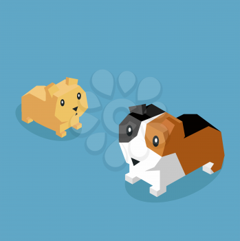 Pets guinea pig icon isometric 3d. Pet and guinea pig, isolated guinea pig, animal guinea pig, guinea pig of pets, puppy animal, kitten character, nature domestic pets, fauna guinea pig vector
