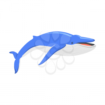 Blue whale isolated on white background. Largest animal in the world, the blue whale. Huge creating floating in the ocean or the sea. Big mammal with tail and fin living in water. Vector illustration