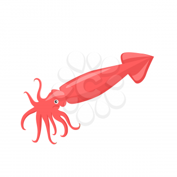 Squid of red color design flat.  Red squid with tentacles isolated on white background. Creature floating in water. Inhabitant wildlife of underwater world. Edible sea food. Vector illustration