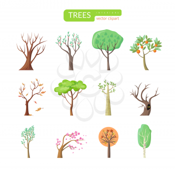 Set of isolated trees design flat. Tree forest, leaf tree vector isolated, tree branch nature green, plant eco branch tree, organic natural wood  illustration