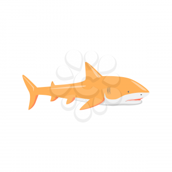 Marine predator shark design flat. Dangerous predator shark with fins and tail and sharp teeth. Aggressive fish creation of nature in orange color living in the ocean or the sea. Vector illustration