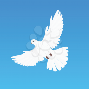 Pigeon vector. Religion, wedding, peace, pacifism, concept in flat design. Illustration for religion attributes, childrens books illustrating. White pigeon flying wings spread isolated on blue.