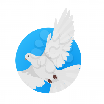 Pigeon vector. Religion, wedding, peace, pacifism, concept in flat design. Illustration for religion attributes, childrens books illustrating. White pigeon flying wings spread isolated on white.