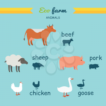 Set of domestic animals illustrations. Eco farm vector. Flat design. Country inhabitants concept. Picture for farming, animal husbandry, milk, meat and wool production companies. Isolated on white.