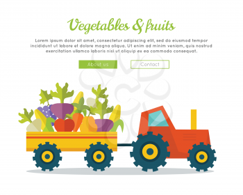 Vegetables fruits farm concept banner. Flat design. Delivering fresh products from farm to market. Tractor with trailer carries greens. Template for farm, shop, transport company web page. 