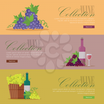Set of fliers for elite wine collections. For labels, tags, tallies, posters, banners of check vintage wines. Logo icon symbol. Winemaking concept. Part of series of viniculture production. Vector