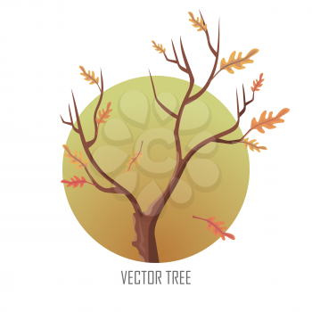 Isolated oak tree with falling leaves. Tree forest, leaf tree isolated, tree branch, plant eco branch tree, organic natural wood illustration. Falling autumn leaves. Oak icon. Vector illustration.