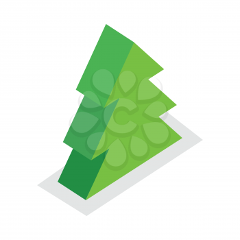Spruce tree vector illustration in isometric projection. Plant picture for for nature, woodworking, gardening concepts, web, app, icons, infographics, logotype design. Isolated on white background.  
