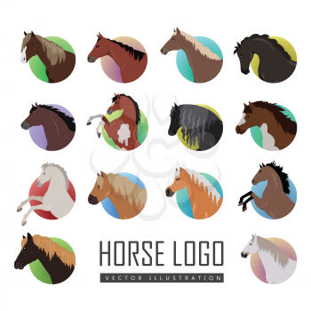 Set of horse logo. Vector in flat style. Variety horse heads in colored circles. Collection of horse icons for equestrian club, horse riding courses, web page design. Isolated on white background