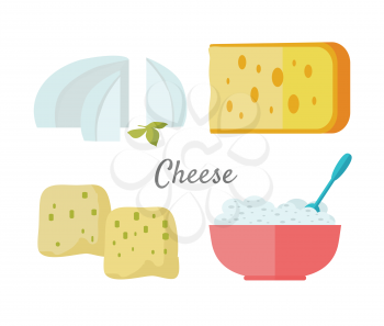 Different varieties of cheese pieces on white background. Natural farm food. Dairy product. Logo illustration. Retail store element. Cheese icons set. Vector illustration in flat style.