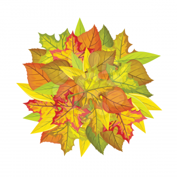 Autumn leaves vector concept. Flat design. Ball from colored leaves of maple, willow, linden trees, white free space around. For photo decoration, nature concept, seasonal promotion and ad design