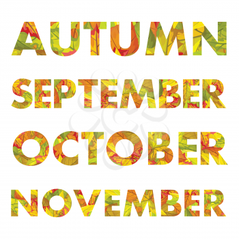 Autumn months vector illustrations. Autumn, september, october, november names colored with fallen leaves of different trees. For nature concepts, calendar prints, seasonally ad and promotions design