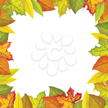 Autumn leaves vector frame. Flat design. Colored leaves of variety trees on top and bottom side with white free space in the middle. For decoration, nature concept, seasonal promotion and ad design