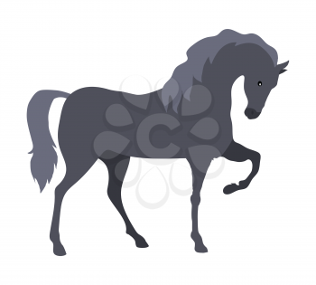 Prancing grey horse flat style vector. Domestic animal. Country inhabitants concept. Illustration for farming, animal husbandry, horse sport companies. Agricultural species. Isolated on white 