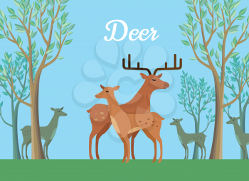 Funny pair of deer on background of forest. Pair of deer walking on grass in forest. Animal deer with large horns vector character. Charming deer. Wildlife character