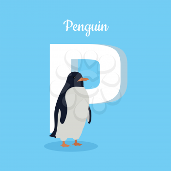Animals alphabet. Letter - P. Funny penguin stands near letter. Alphabet learning chart with animal illustration for letter and animal name. Vector zoo alphabet with cartoon animal on blue background