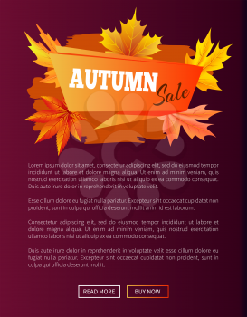 Autumn sale orange label on violet backdrop, 2017 fall web banner with buttons read more and buy now vector illustration poster with place for text
