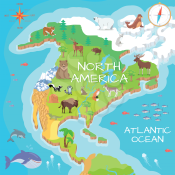 North America isometric map with flora and fauna. Cartography concept with nature. Geographical map with local fauna. North America continent with mammals and sea life. Vector illustration for kids