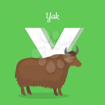 Animal alphabet vector concept. Flat style. Zoo ABC with domesticated animal. Yak bull standing on green background, letter Y behind. Educational glossary. For children s books, textbooks illustrating