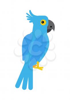 Blue cockatoo parrot illustration. Funny bird sitting isolated on white background. Animal adorable parrot vector character. Cockatoo icon. Wildlife character