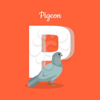 Animal alphabet vector concept. Flat style. Zoo ABC with domesticated bird. Grey pigeon standing on red background, letter P behind. Educational glossary. For children s books, textbooks illustrating