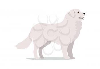 White labrador in stand on white background. Dog icon or logo element. Vector illustration in flat style. Labrador retriever design. Cartoon dog character, pet animal.